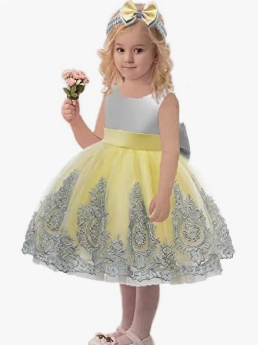 Toddler Girls Pageant Lace Embroidery Dress Party Bowknot Tutu Gown Size 4T